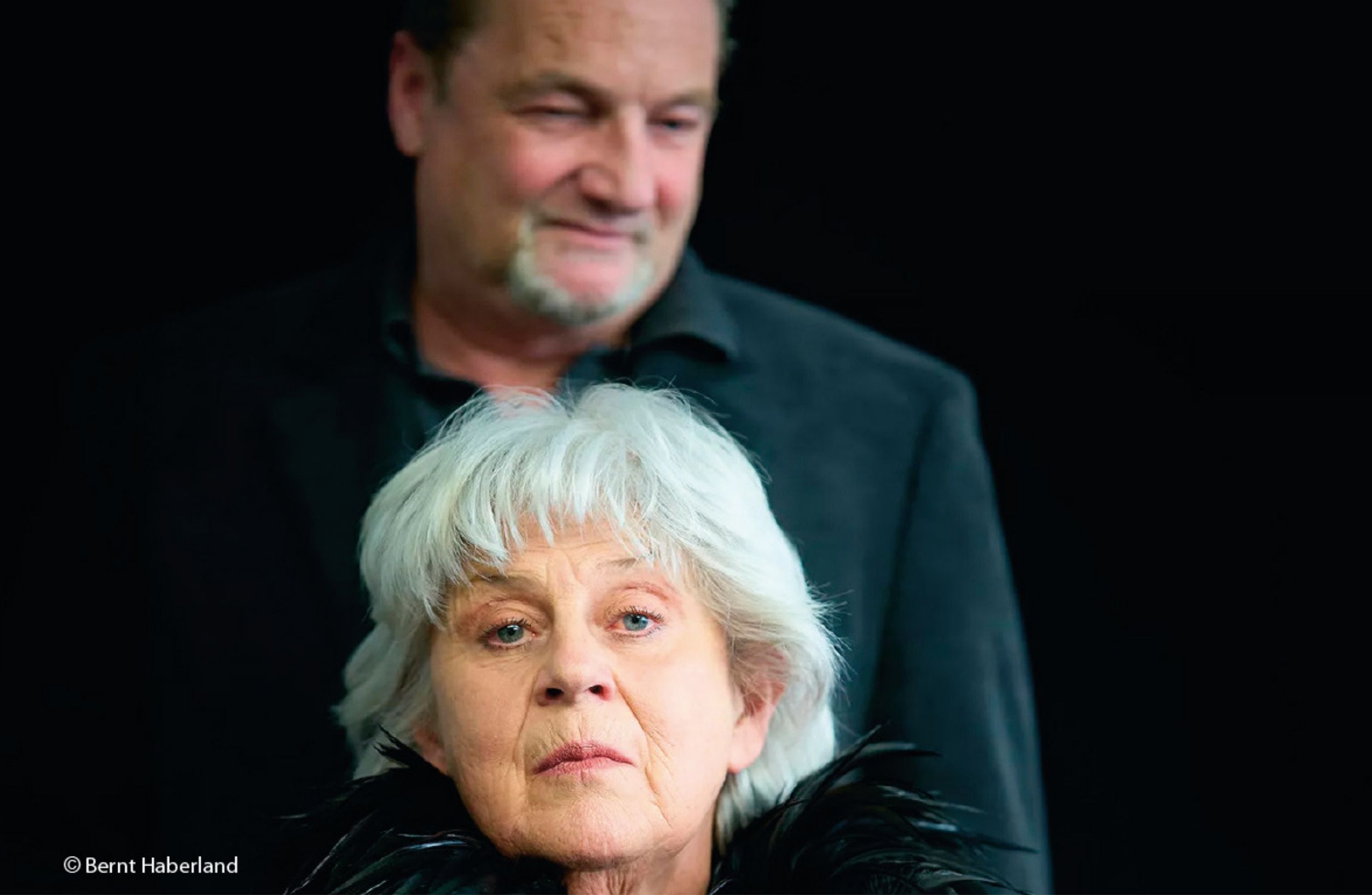 Besuch der alten Dame
